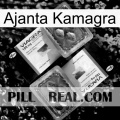 Ajanta Kamagra viagra5